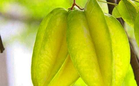 �������ҡ�˵�θ�(��ѡ15ƪ)