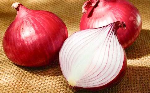 �����ͷ���ռǡ������15ƪ�����ţ�