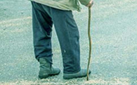 �ҵ�үүд������15ƪ