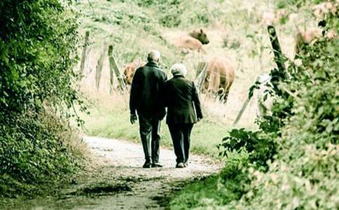 �ҵ�үүд������13ƪ