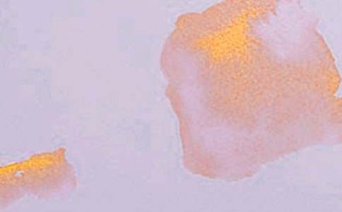 ����ѧ�����Ĵ�ʦ����ѧ��˼����ѡ3ƪ��