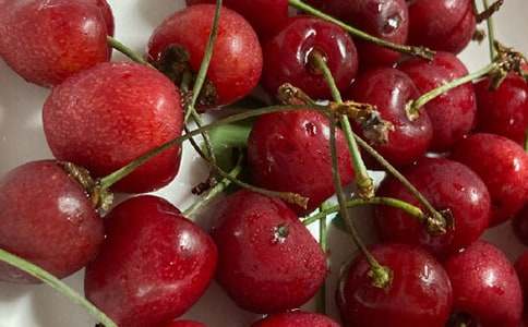 [��]���⹫�ǿ�ӣ�����������15ƪ