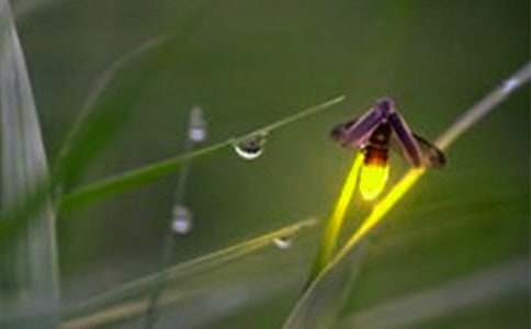 ө���֮Ĺ�ۺ��