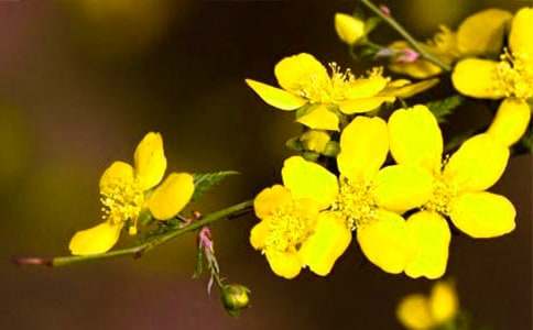 ����Ʒ��ӭ����Сѧ����3ƪ