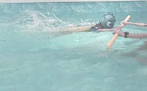 去游泳日记范文汇总六篇