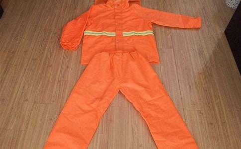 ����Сѧ����