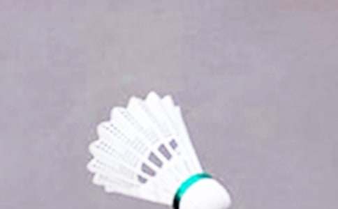 ��ë������´�