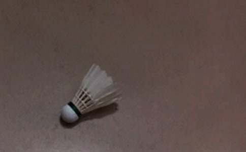 ��ë��˵�θ�