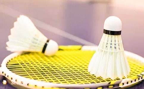 羽毛球赛工作总结