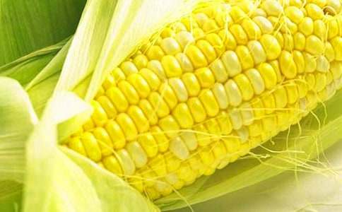 鲜玉米收购合同范本
