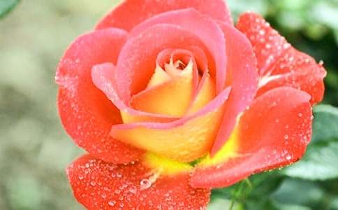 ���Ƽ����¼����۲��ռ���ƪ