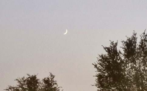 ����������Ӷ����