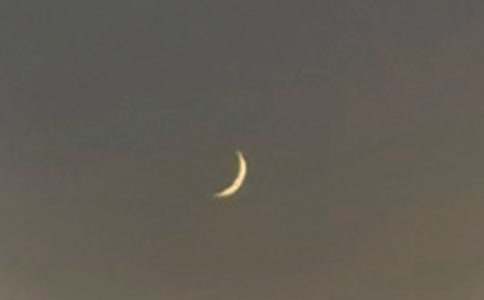 ������������ӡ������