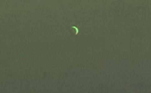 ���Ƽ���������������ʿ�������45ƪ