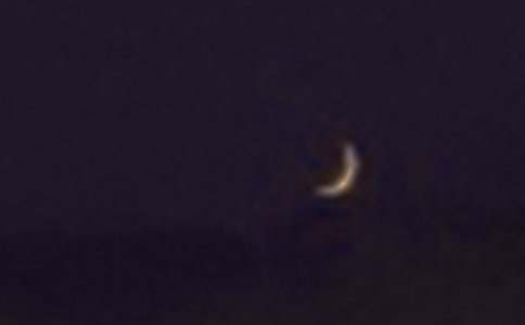 ��������ѧ��˼12ƪ