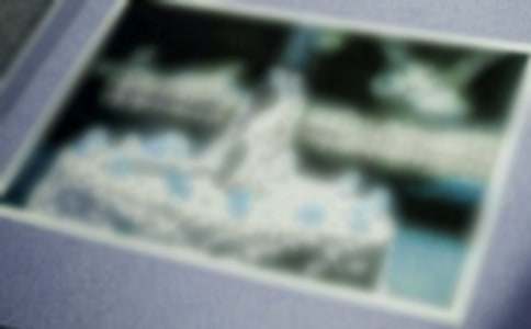 【集合】照片里的故事小学作文