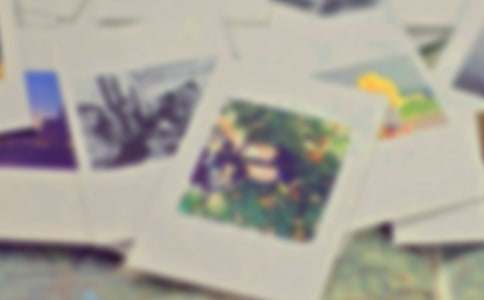 我家的一张照片小学作文