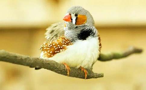 �������ѧ��˼