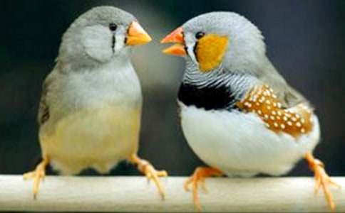 �������񡷽�ѧ��˼15ƪ