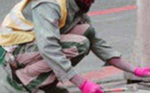 ����ְҵ�滮