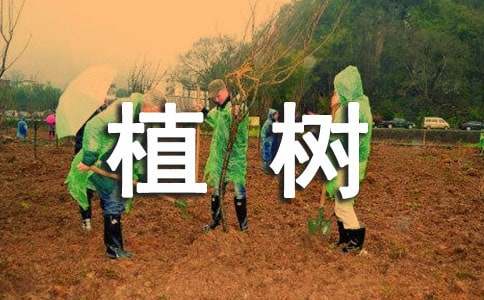 邓小平爷爷植树教学反思