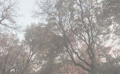 植物园日记模板汇总5篇