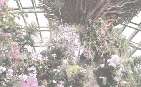 ����ֲ��԰�ռǷ��ļ���6ƪ