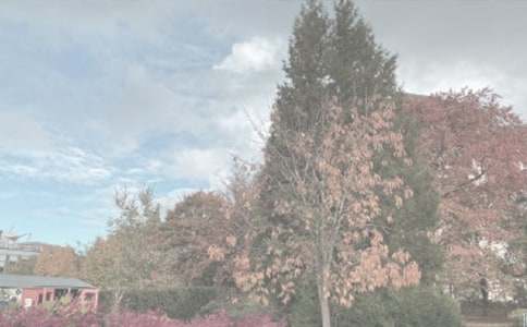 关于植物园日记范文汇编7篇