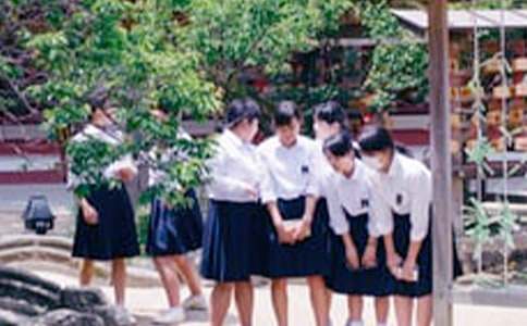 中学生昆虫记读后感