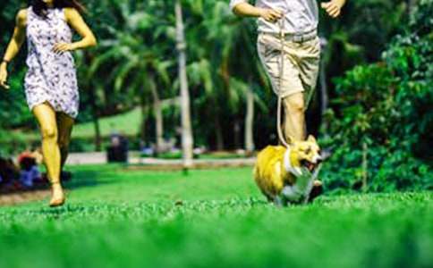 ���Ƽ�����ĩ���ռ�