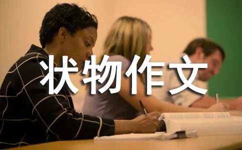 精选初中状物作文合集八篇