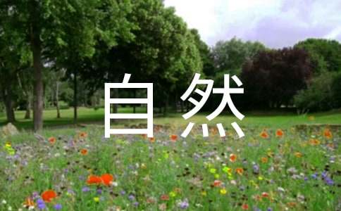 人与自然观后感15篇