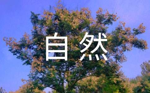 人与自然观后感(合集15篇)