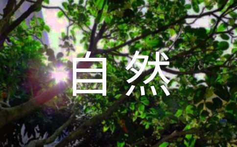 人与自然的观后感15篇