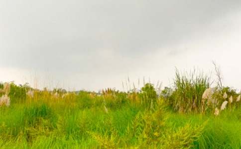 ���߽���г�Ĵ��졷����У���ѡ��