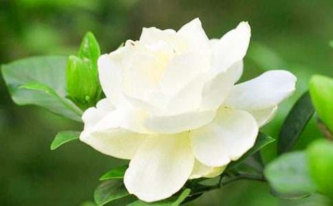 ���ӻ�л_���м�����