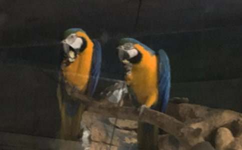 �ɰ������ļ�����