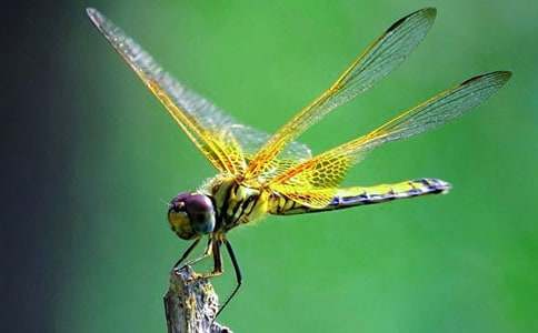 ��С���ѡ���ѧ��˼