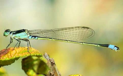 �������ۡ������