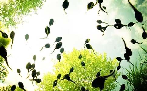 С����������ѧ��˼����11ƪ