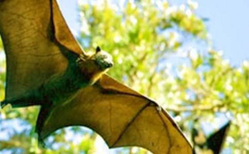 ���������״��ѧ��˼