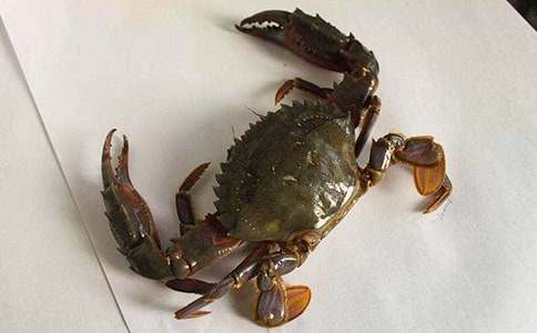 ���з�衷��ѧ��˼