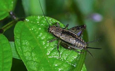 ���סլ��ѧ��˼15ƪ��ʵ�á�