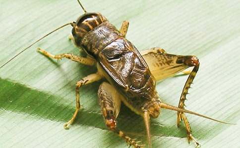 ���סլ��ѧ��˼����15ƪ