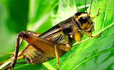 ��ͨ�á����סլ��ѧ��˼15ƪ