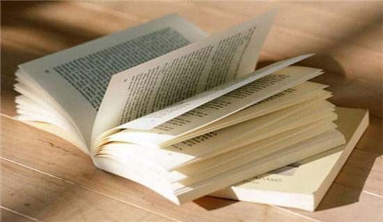 初中初一记叙文阅读《父子》附答案