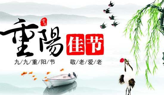 �����ھ����´�