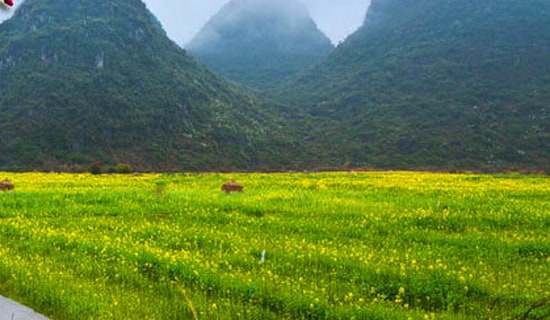 �����ռ�����